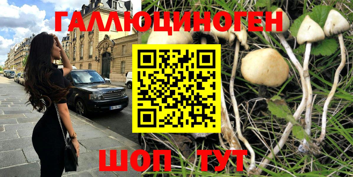 Псилоцибиновые грибы MAGIC MUSHROOMS  Псилоцибиновые грибы GOLDEN TEACHER  Вход с VPN  Лосино-Петровский 